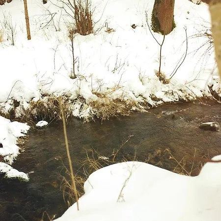 Chata Ignasia Pod Snieznikiem 1 Na Dzialce Chalet *