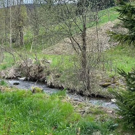 Chalet Chata Ignasia Pod Snieznikiem 1 Na Dzialce *